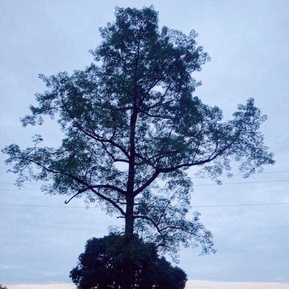 Meet your Posher, Aina - Picture 1 of 1